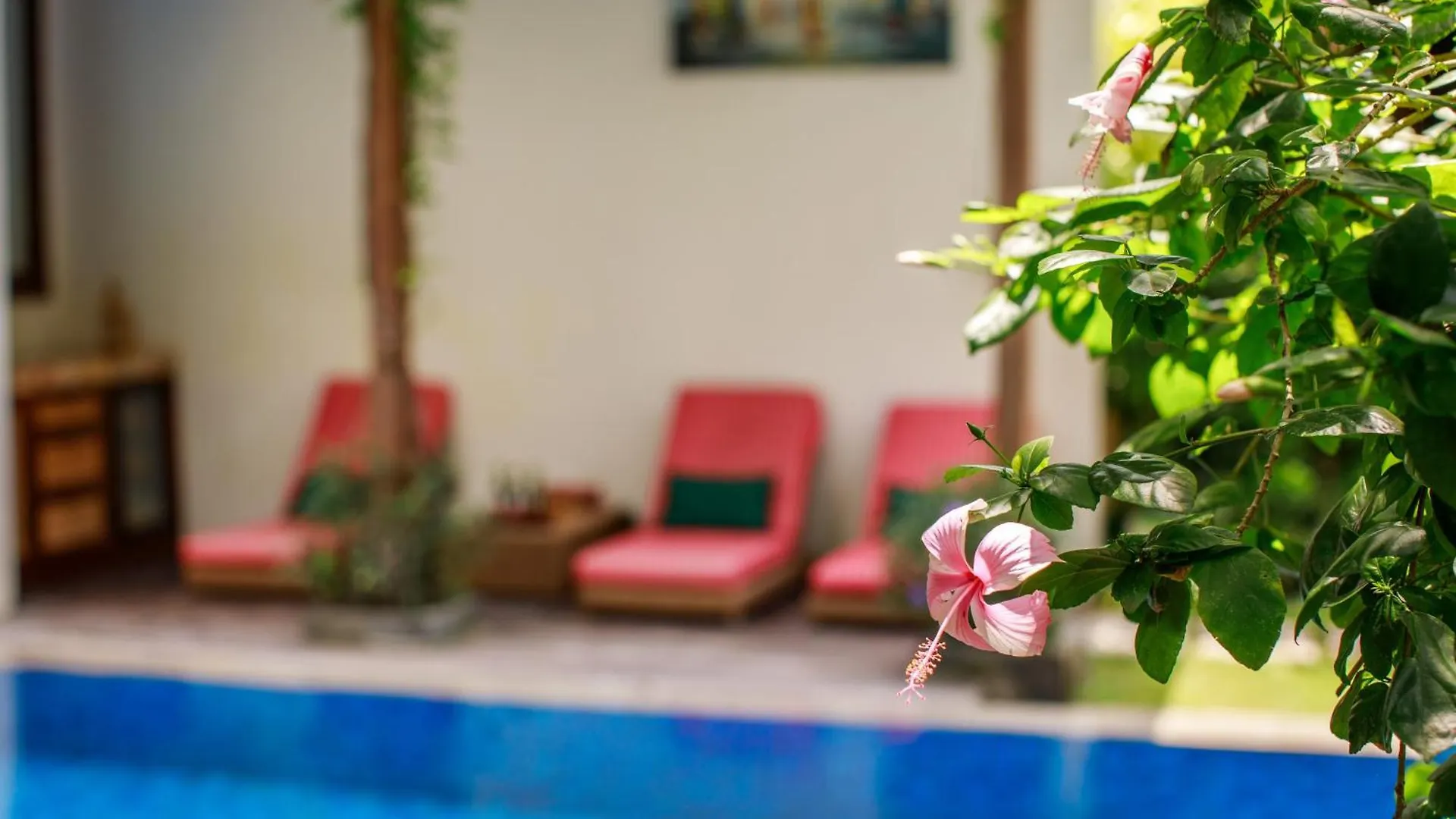 Delight Art Villas Seminyak  Indonesia